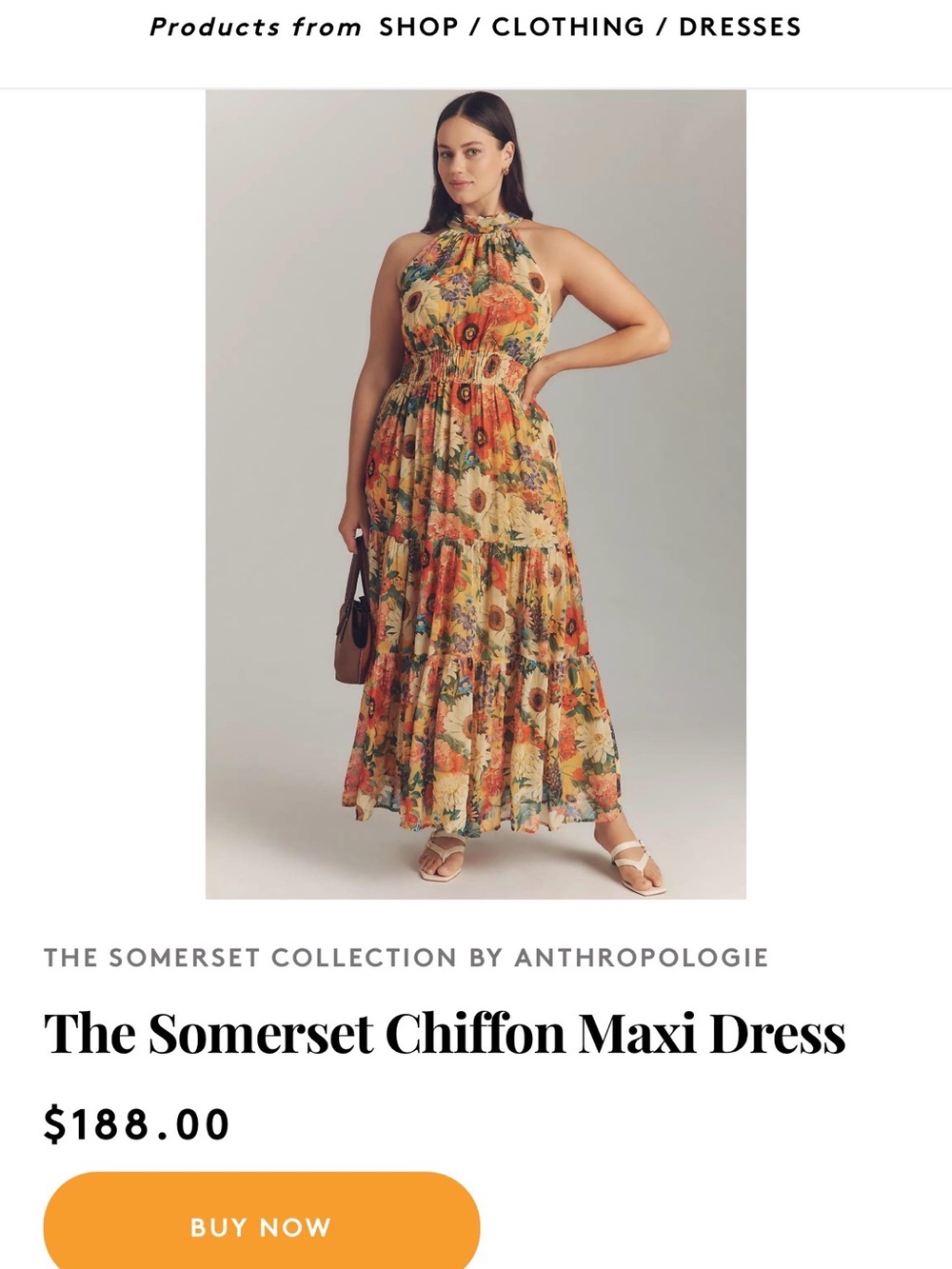 Anthropologie The Somerset Chiffon Maxi Dress